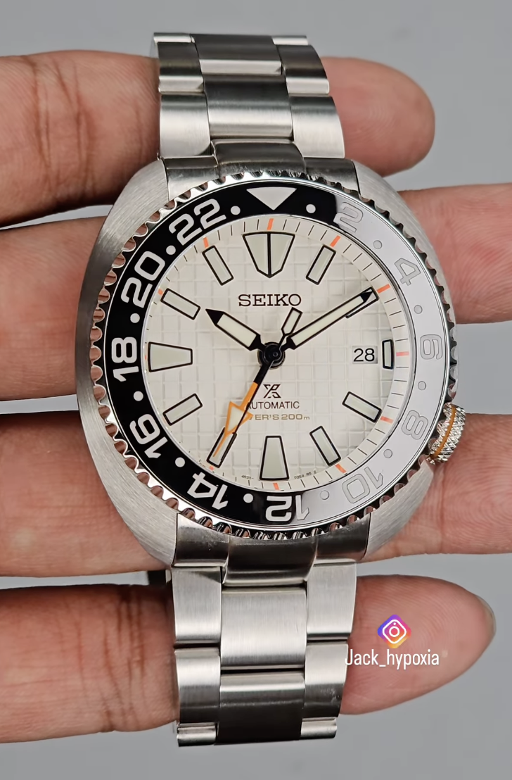 GMT Turtle | Jack hypoxia